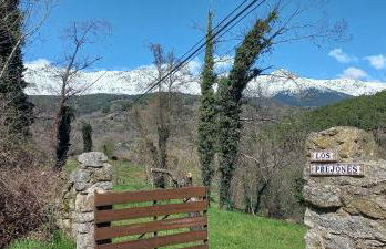 Los Prejones - Photo 45