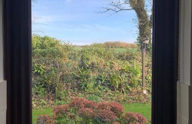 Cosy cottage between Penzance and St Ives - Foto 8