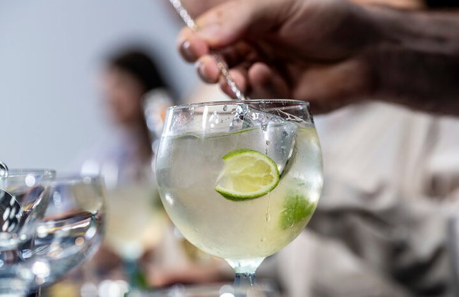 Tour y clase magistral de cócteles con ginebra Bombay Sapphire - Foto 12