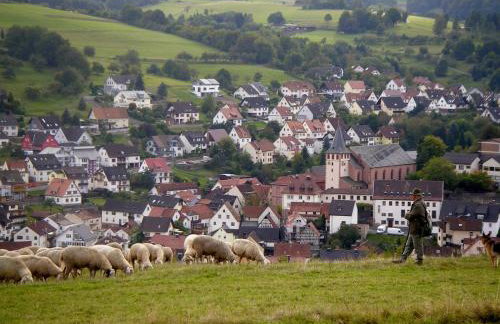 Fewo-Monteurwohnung Steger - Foto 15
