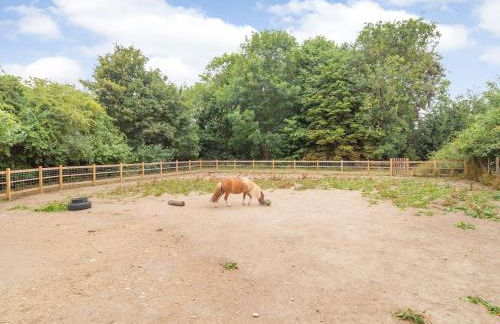 The Hen House - Photo 22