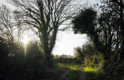 Farmhouse Charm with Modern Style in Pembrokeshire - Foto 21