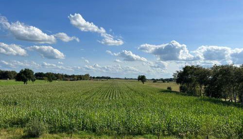 Ferienwohnung Ponywiese - Foto 3