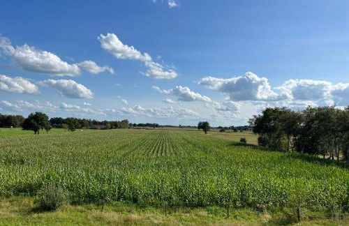 Ferienwohnung Ponywiese - Foto 3