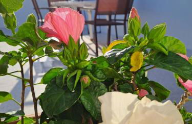 San Michele Apartment - Foto 23