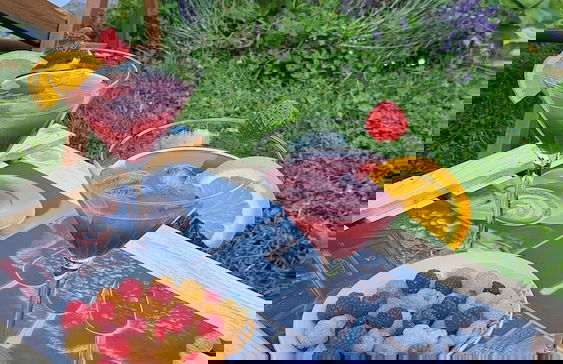 Vineyard cottage Na hribu - Photo 33