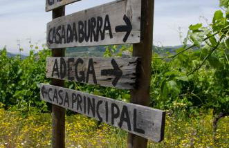 River View ate Terrus Winery - Foto 12