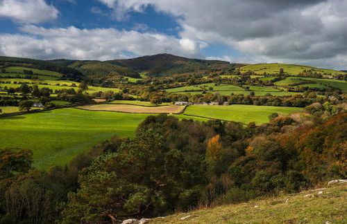 2 Bed in Lixwm 88028 - Photo 32