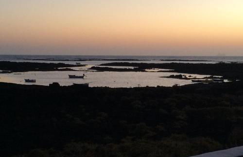 Ocean Sunshine - Foto 13