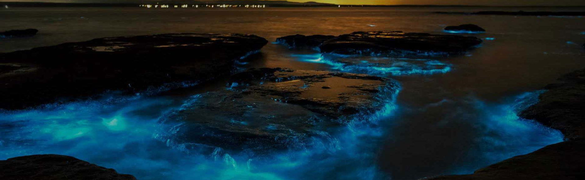 Bioluminescence Kayaking Tour - Foto 1