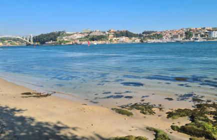 Apartamento vista Douro e Mar - Foto 76