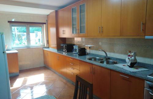 Ares Vieira - Foto 24