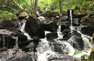 Rabbits Run Mountain Retreat - Foto 40