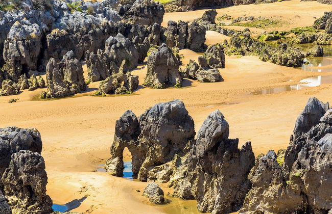 Apartamentos Los Arces - Foto 45