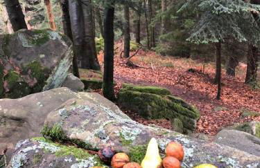 Residenz Dabo Panorama in den Vogesen, 5 Zimmer, modern und großzügig, 2 Balkons, Terrasse, Garten - Foto 68
