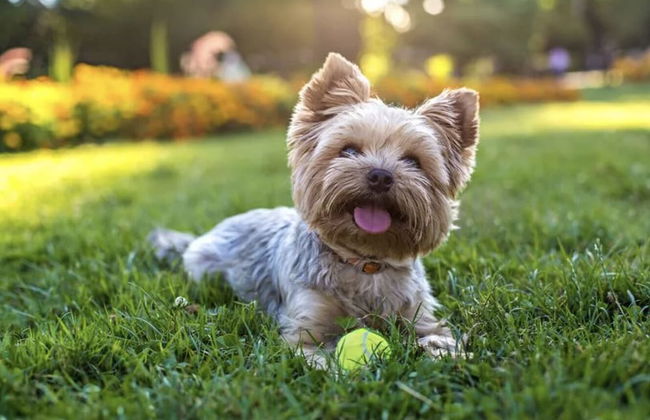 Beautiful Apt AC Downtown Pike TMobile - Foto 13