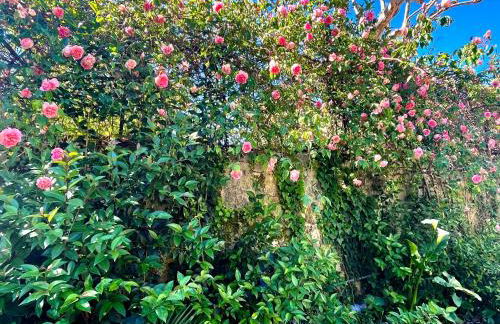 LES QUAIS DE NERAC - Foto 10