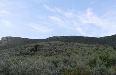 Ai Nies Studios - Foto 47