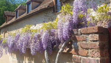 La Sablonnière de Rochefort - Foto 2