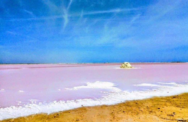 Tour de 2 días por Manaure y Cabo de la Vela - Foto 8