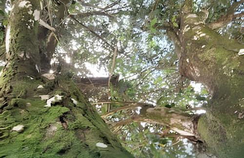 Flat Térreo em Meio a Natureza - Foto 34