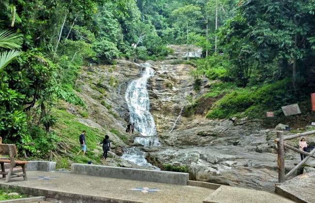 Excursion aux Cameron Highlands - Photo 5