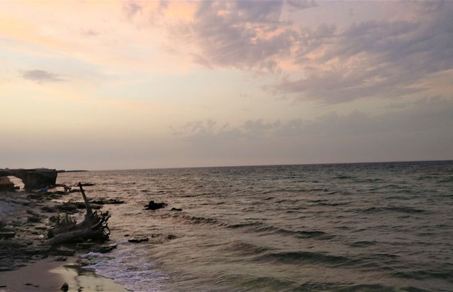 ANGELI NEL SALENTO CAMERE - Foto 41