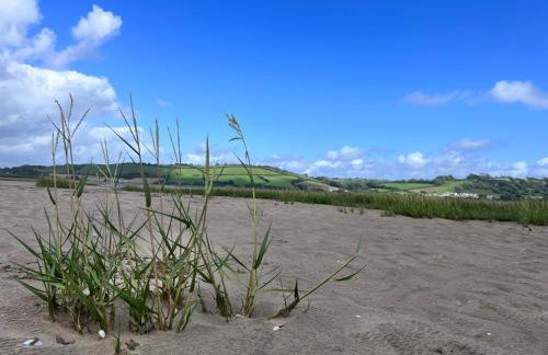 Yr Hen Beudy Barn Conversion Sleeps 4 Dogs Ok - Foto 22