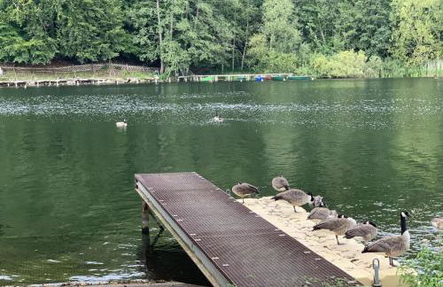 Appartement Seesicht - Foto 11