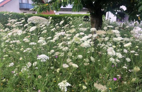 110qm Countryside Loft - Foto 52