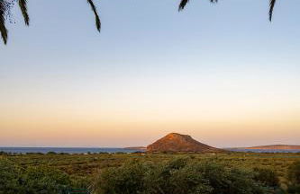 Olive Garden Houses - Photo 48