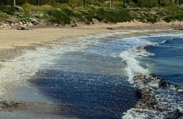 Appartement en face mer - Foto 17