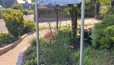 Apartments-Bocholt - Photo 3