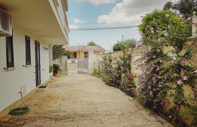 Dimora Liccisa Attic in Torre Lapillo-porto Cesareo-punta Prosciutto - Photo 21