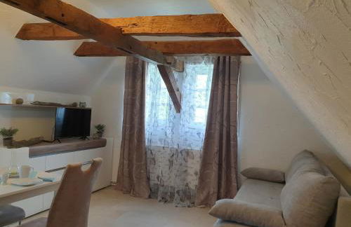 Neu Gemütliche Ferienhaus mit 3 Ferienwohnungen "Max " , " Leonore " und "Beatrice" - Foto 18