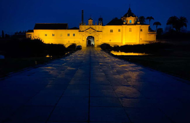 Visite guidée du monastère de la Cartuja - Photo 12