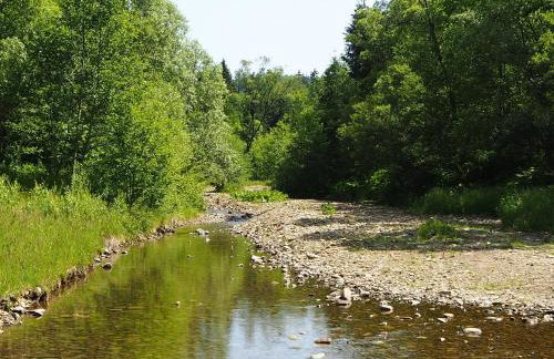 Sarnówka KDN - Foto 44