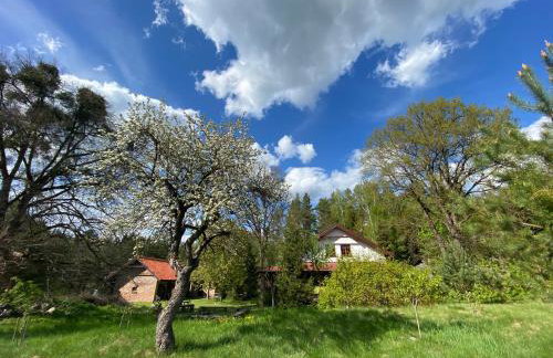 Ostoja Miłolas - Foto 28