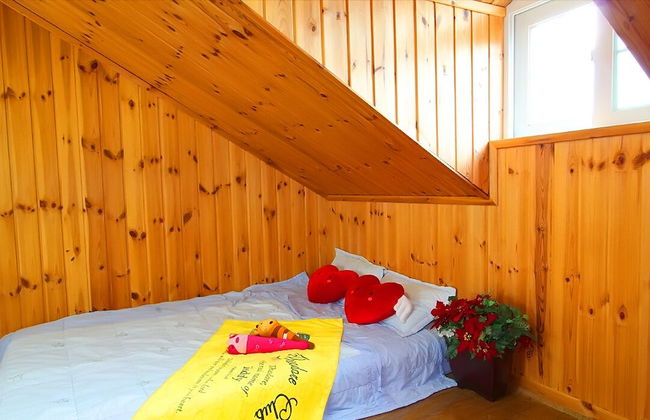 Baenae-gol Alpensia Pension - Foto 5