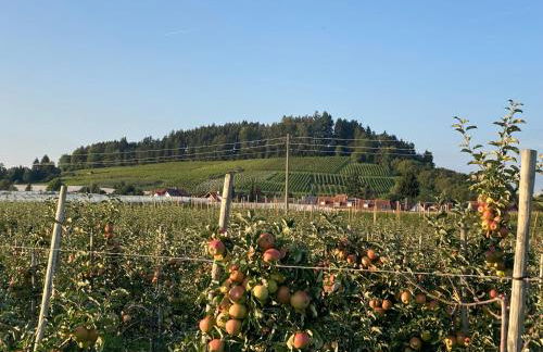 Ferienwohnung König - Foto 27