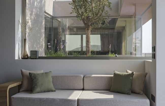 3 Olive Trees - Foto 7