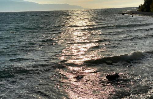 Blumenhaus (Spiti Louloudia) - Foto 43