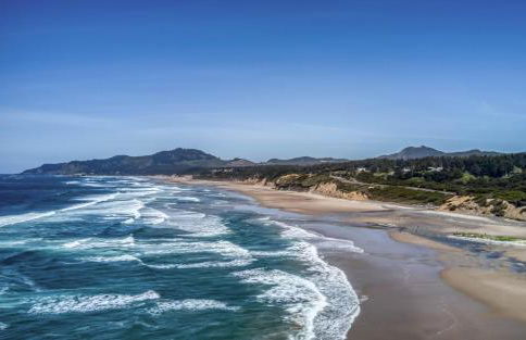 Blackberry Hill - Foto 53