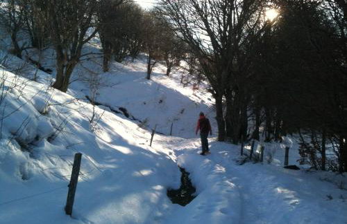 Chalet les Eglantines - Foto 20