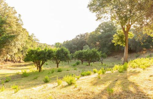 Azienda Agricola Club Le Cannelle - Foto 98