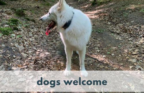 Ferienhaus Marianna am See - free Sauna, Ruderboot, Kajak & WLAN - Photo 45