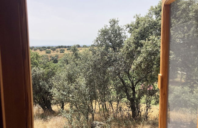 Hamlet's Friends - Foto 55