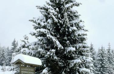 Petrini Gonia - Foto 36