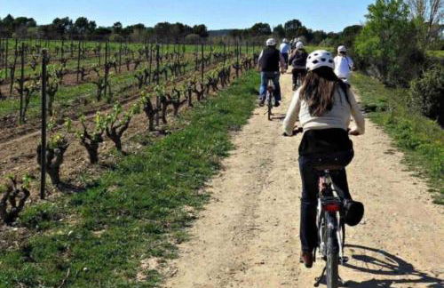 Villa Oasis entre Viñedos cerca de Barcelona con A A y piscina climatizada - Foto 42