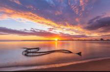 gîte L'hirondelle - Foto 47